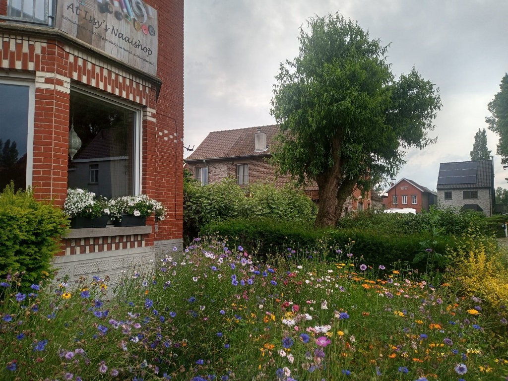 Bloemen aan de voorkant